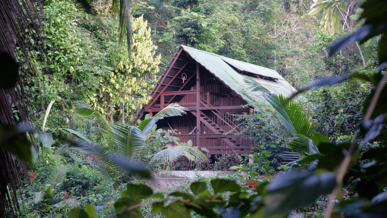 La Kuka Hotel - Nuquí 外观 照片