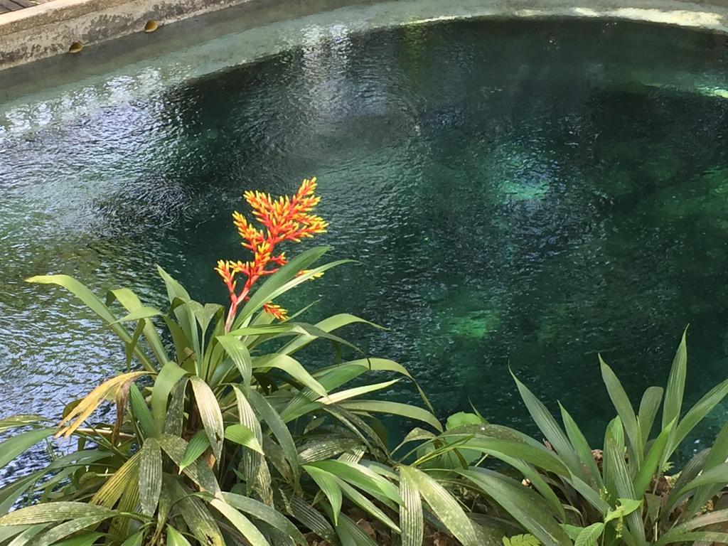 La Kuka Hotel - Nuquí 外观 照片